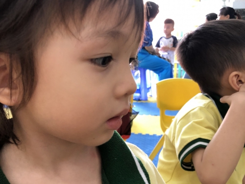 Chào mừng ngày Nhà giáo Việt Nam - Ngày 20/11
